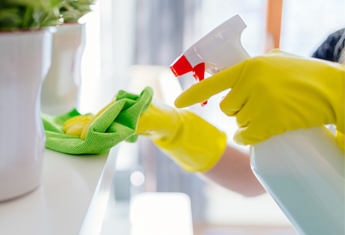 Woman Cleaning a Shelf